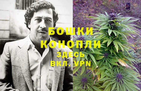 крисы Красноперекопск