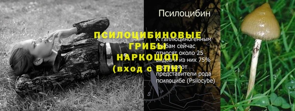 мет Коряжма