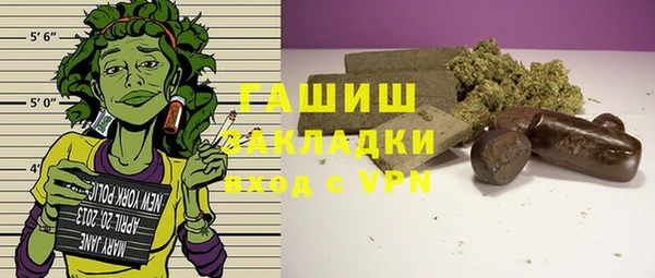 дмт Краснослободск