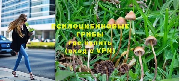 дмт Краснослободск