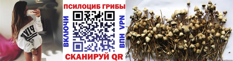 Галлюциногенные грибы ЛСД  Купить закладки  Майский 