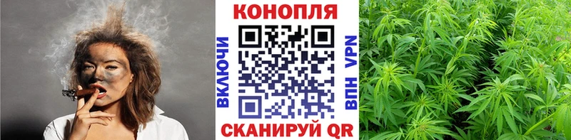 Купить закладки  Майский  Марихуана ГИДРОПОН 